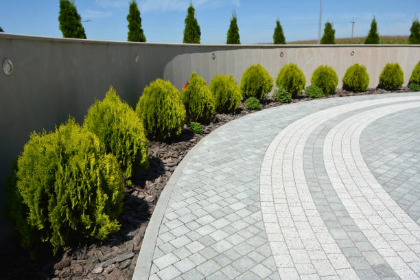 Best Residential Paver Driveway  in Connelly Springs, NC